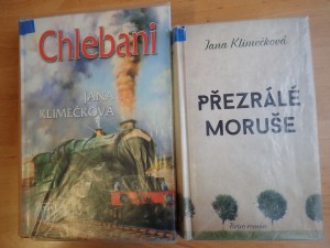 Beseda se spisovatelkou Janou Klimečkovou | Galerie akcí knihovny